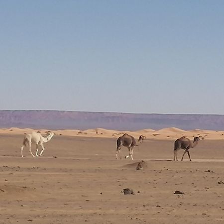 Nomad Camp Merzouga Exterior foto